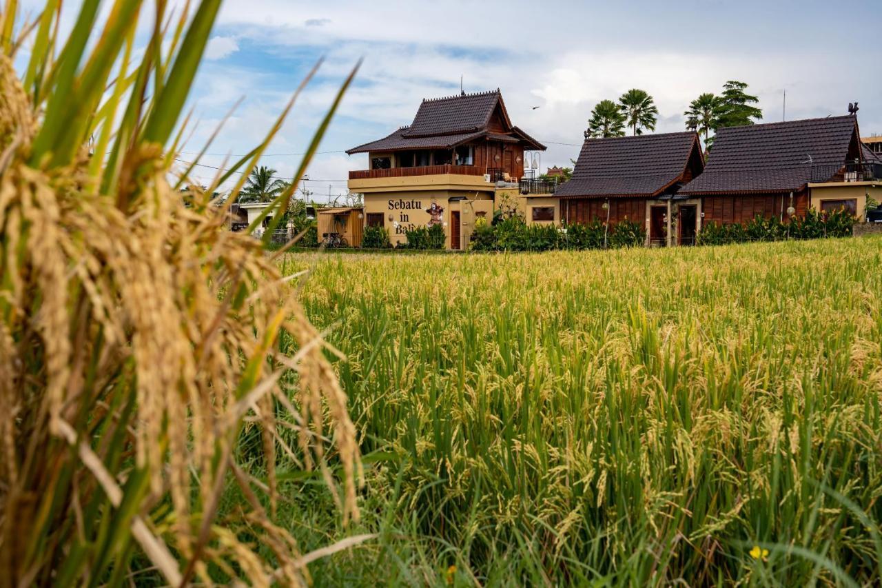 Barong Bali Villas Убуд Екстериор снимка